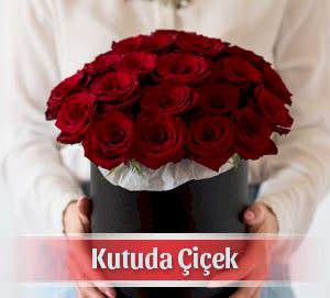 Kutuda Çiçek, Kutuda Gül